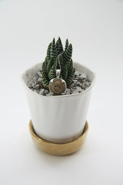 Vintage Canadian Medallion Beaver Lifestyle