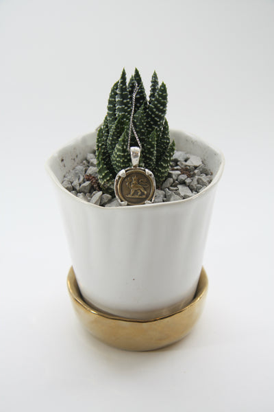 Vintage Canadian Medallion Necklace Lion Lifestyle